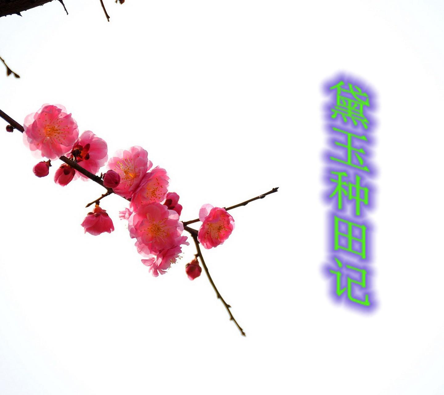 Daiyu Farming Story