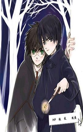HP Polar Night
