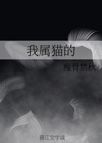 I am a cat