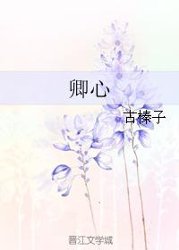 Qing Xin