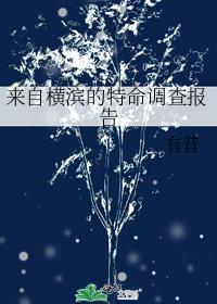 Special investigation report from Yokohama