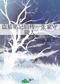 Tomb Raiders Notes - Zhangjia Mausoleum Keeper